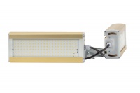 Модуль Галочка GOLD, универсальный, 64 Вт, светодиодный светильник